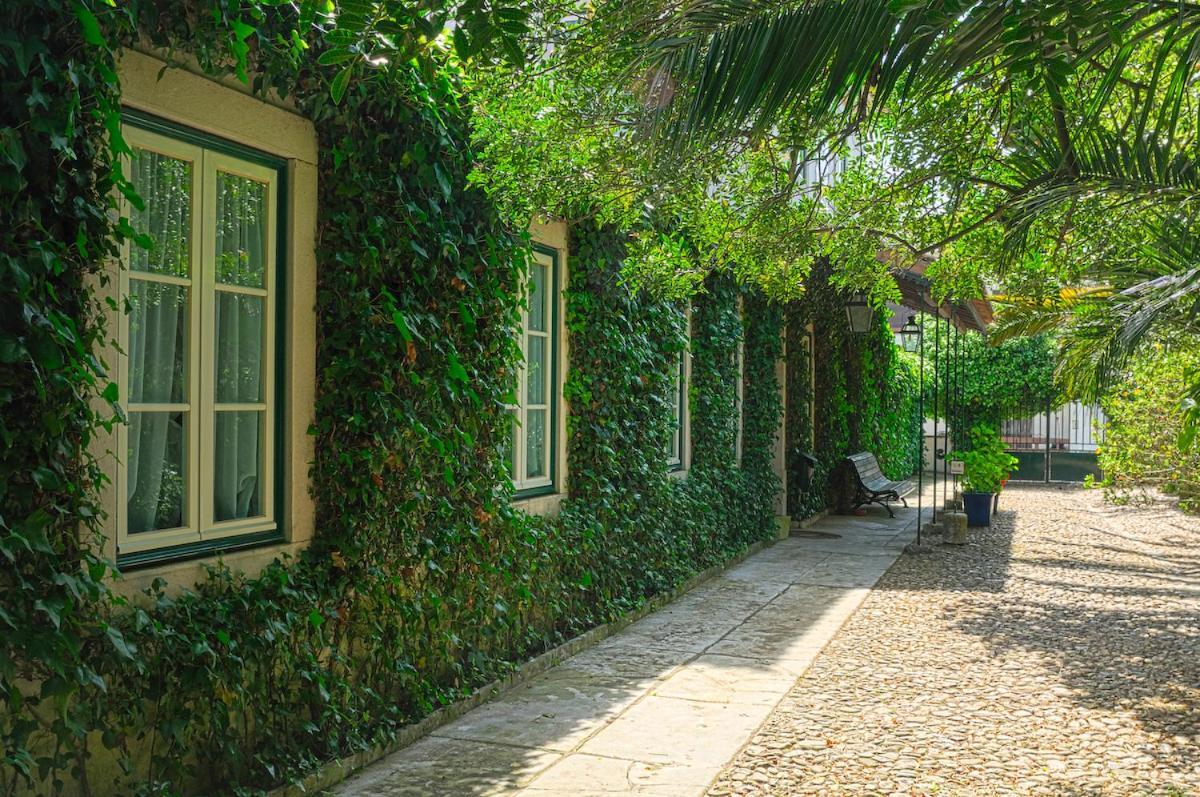Casa Do Foral Guest House Rio Maior Bagian luar foto